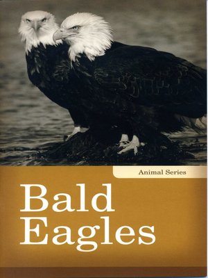 Bald Eagles - ebook